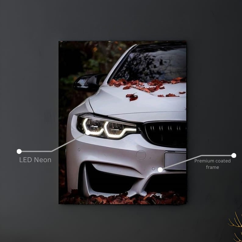 🍂 Sonbaharın BMW Şıklığıyla Buluşması