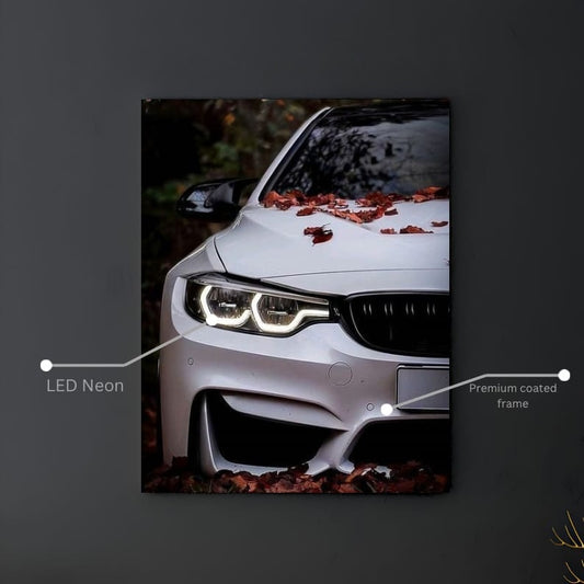 🍂 Sonbaharın BMW Şıklığıyla Buluşması